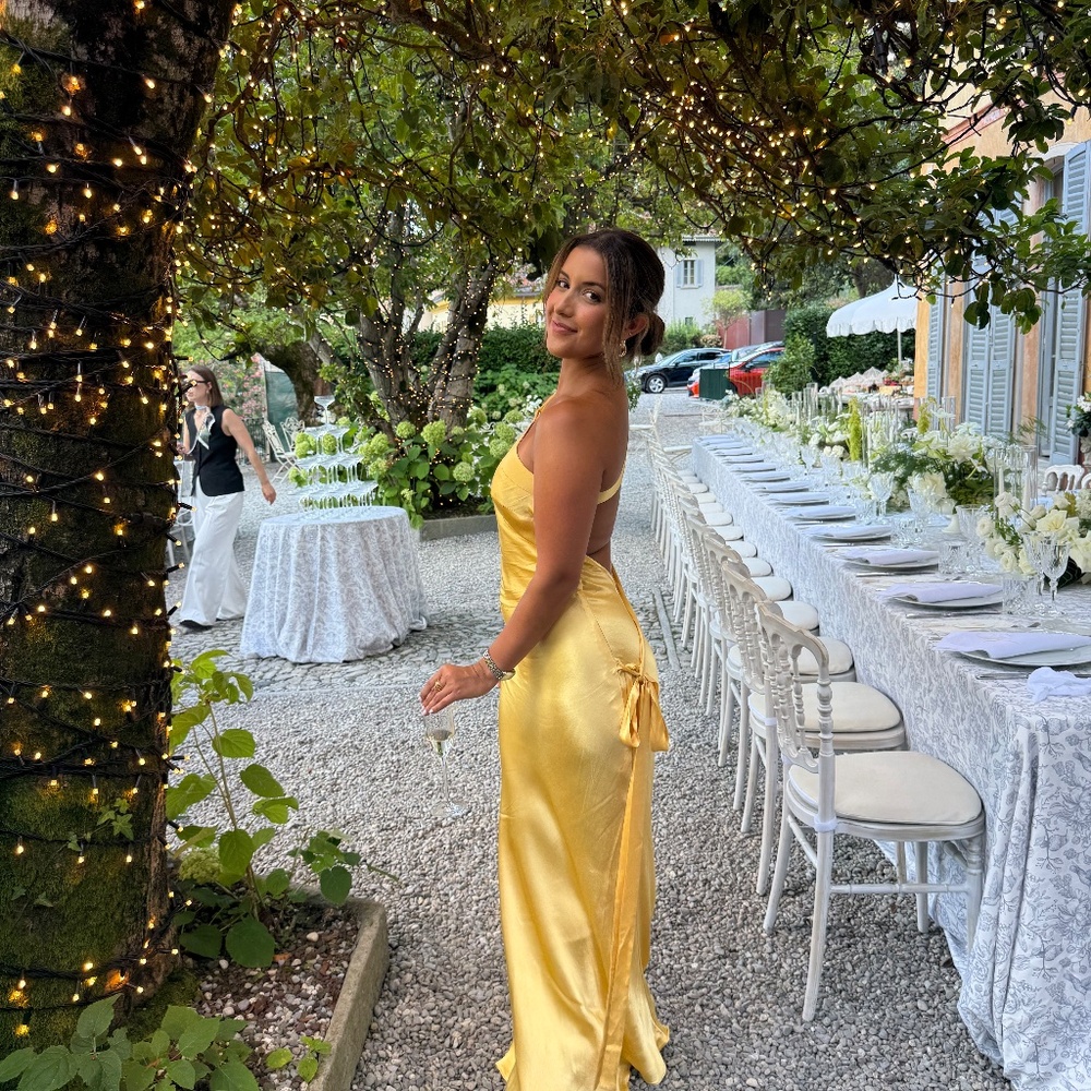 Arcina ori Monique dress - Picture 4 of 5
